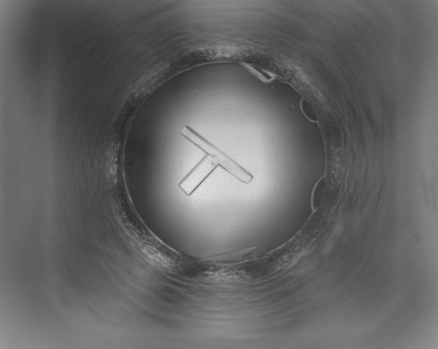 X0000073460545200608111513