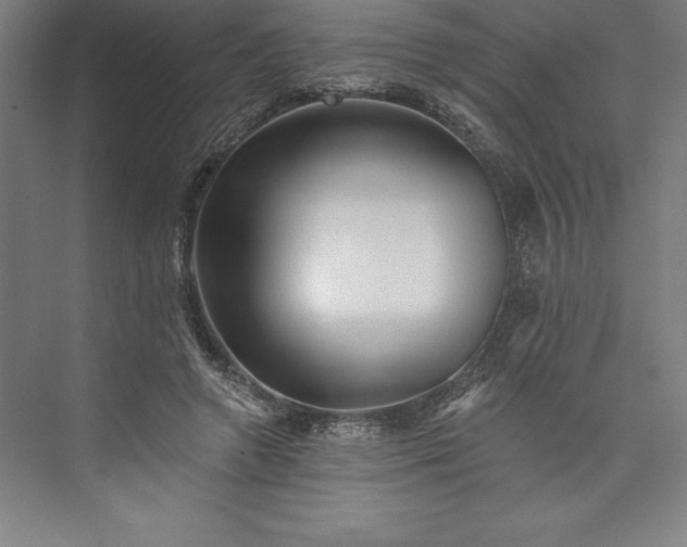 X0000073460546200608111513