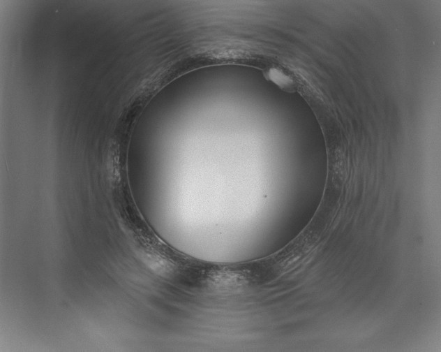 X0000073460547200608111513