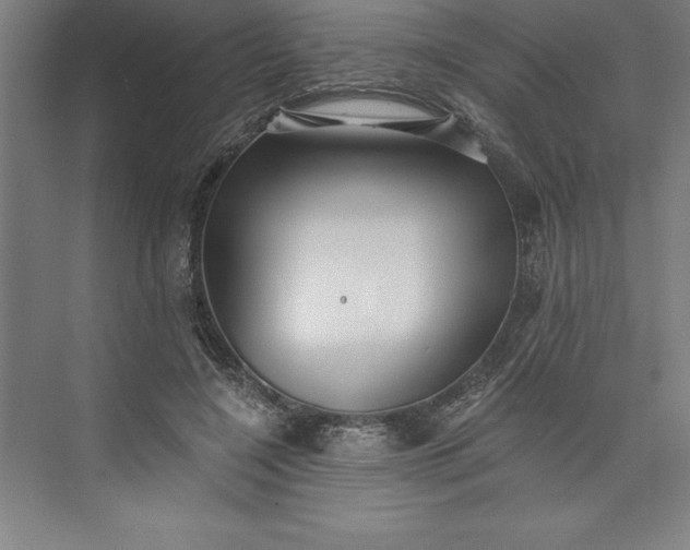 X0000073460548200608111513