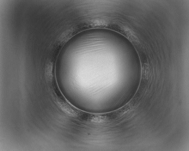 X0000073460550200608111513