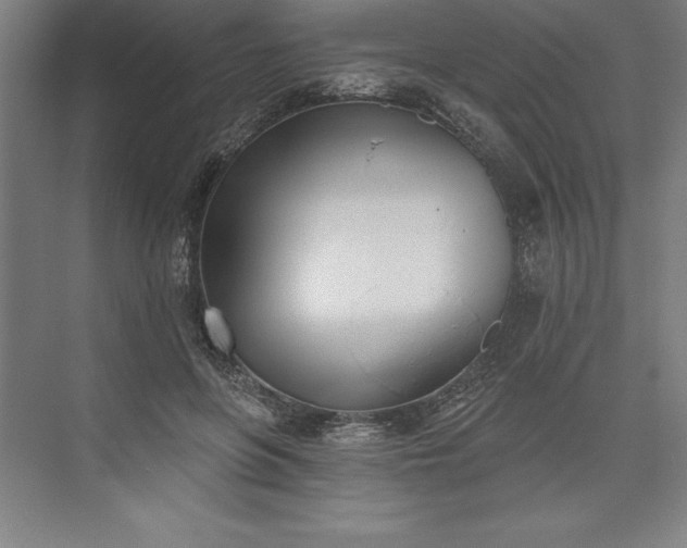 X0000073460551200608111513