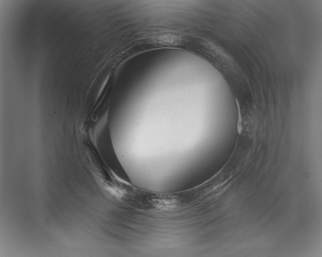 X0000073460552200608111513