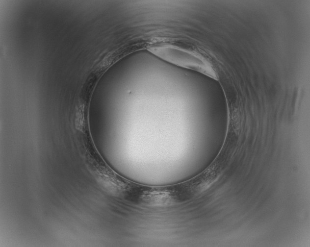 X0000073460554200608111513