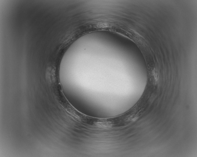 X0000073460556200608111513