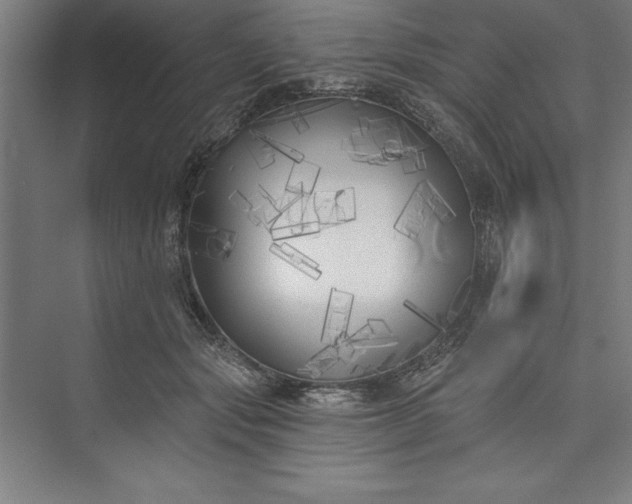 X0000073460557200608111513