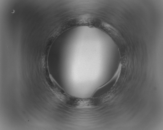 X0000073460560200608111513