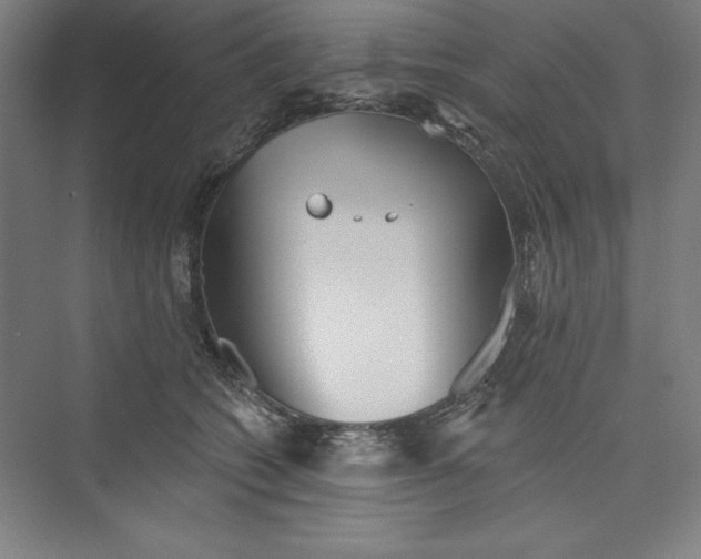 X0000073460562200608111513