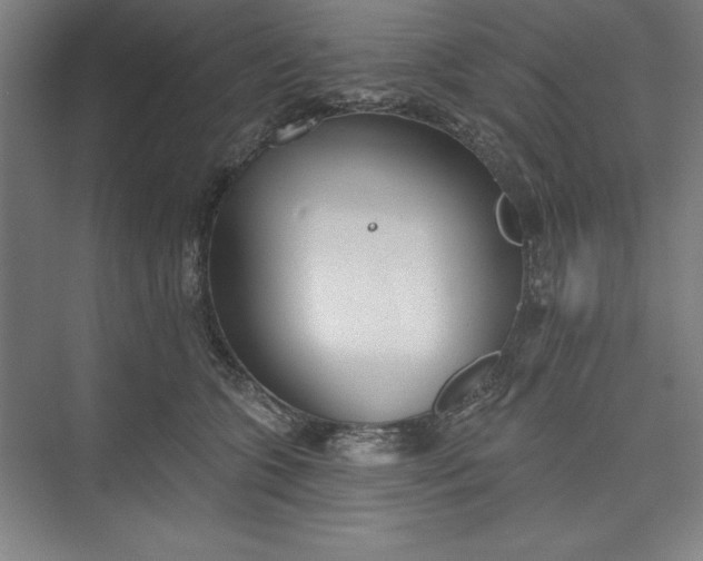 X0000073460563200608111513