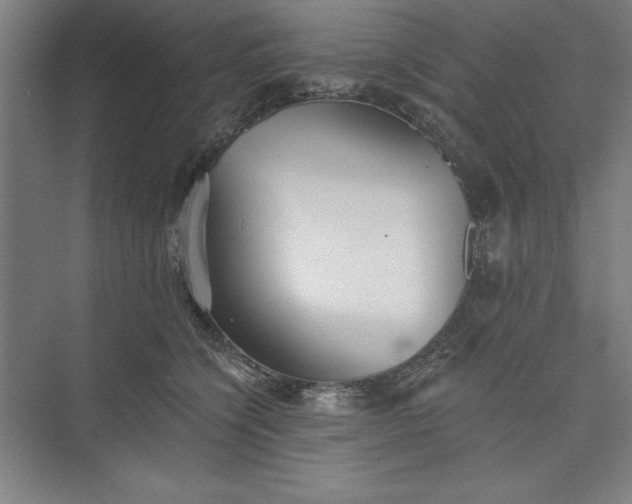 X0000073460564200608111513