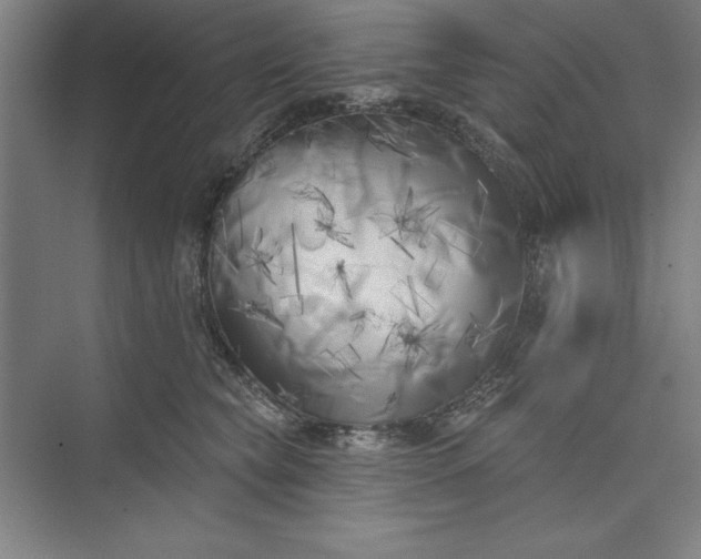 X0000073460565200608111513