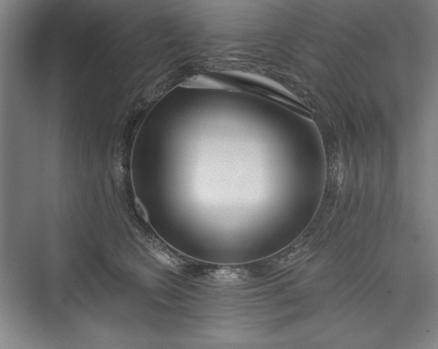 X0000073460566200608111513