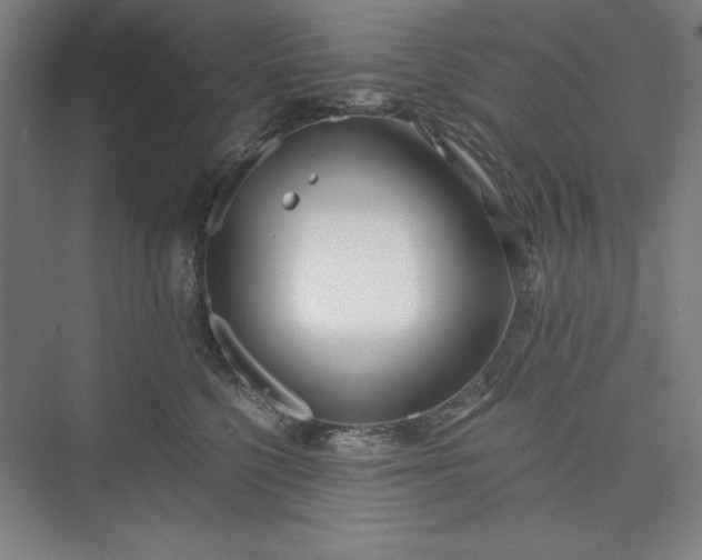 X0000073460568200608111513