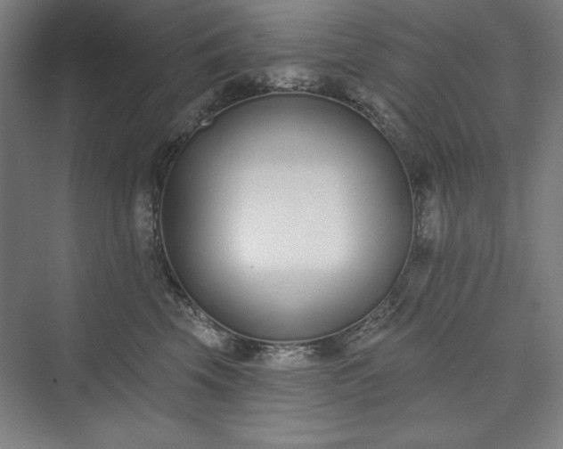 X0000073460569200608111513