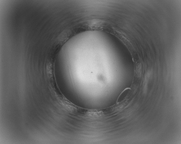 X0000073460571200608111513