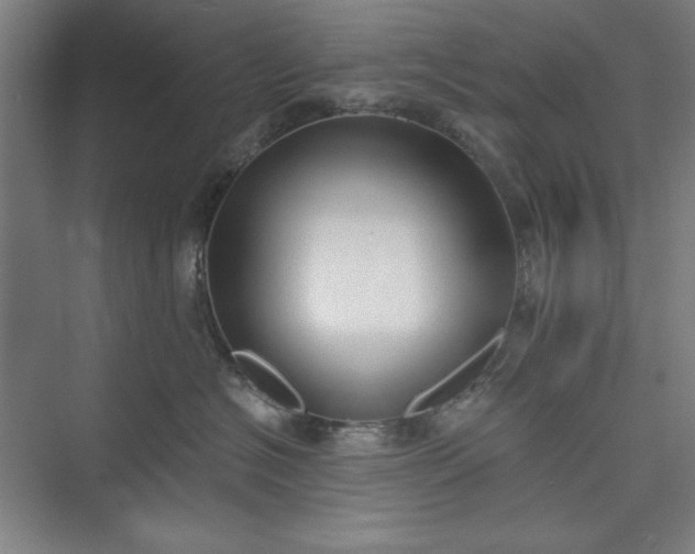 X0000073460574200608111513