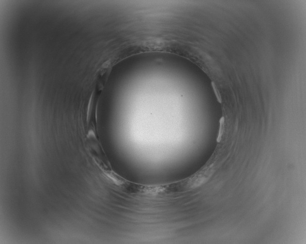 X0000073460576200608111513