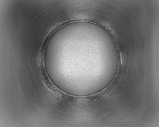 X0000073460579200608111512