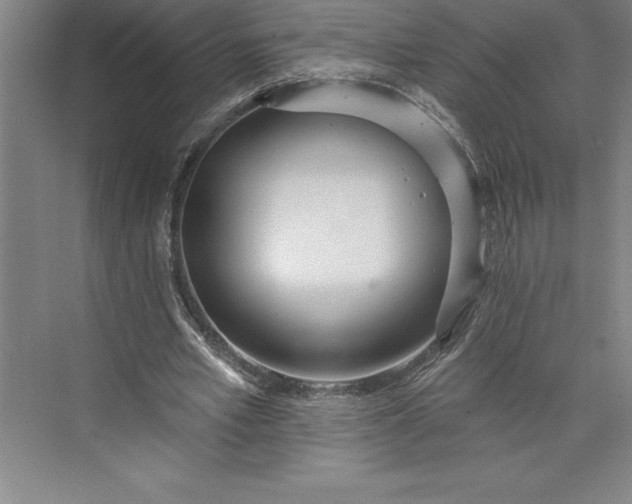 X0000073460581200608111512