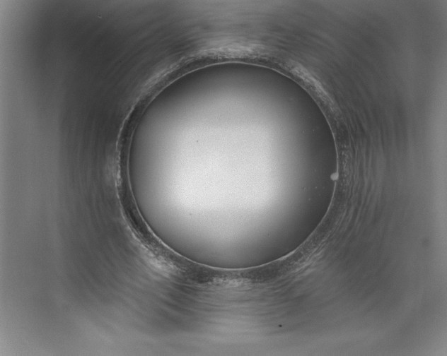 X0000073460582200608111512