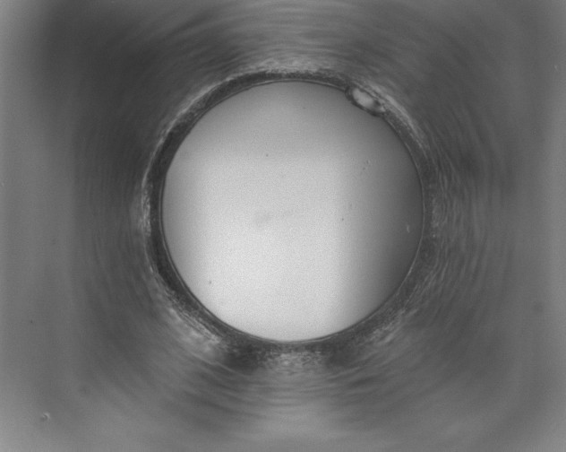 X0000073460584200608111512