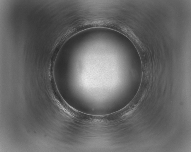 X0000073460585200608111512