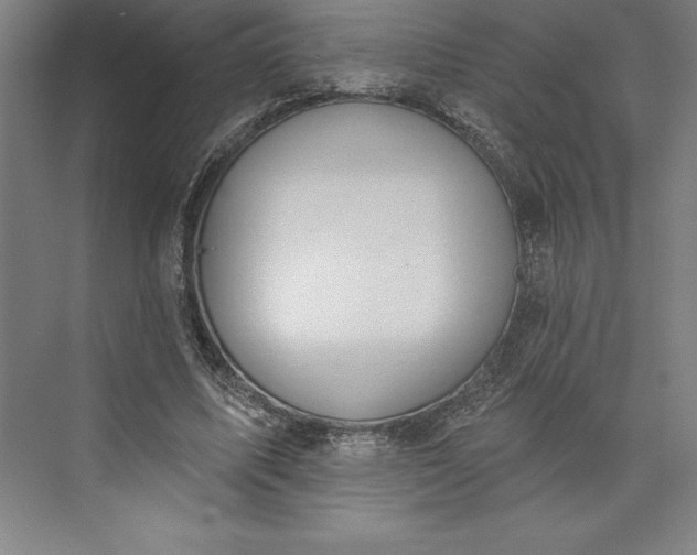 X0000073460587200608111512