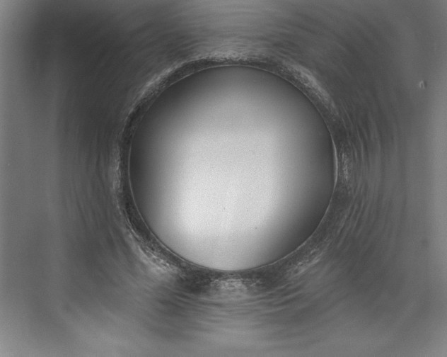 X0000073460588200608111512