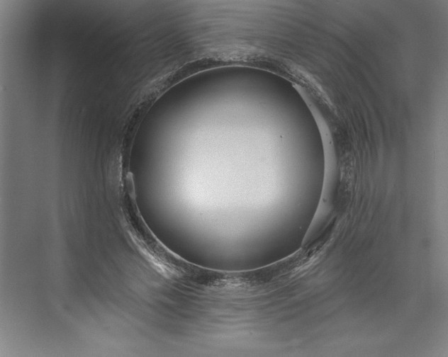 X0000073460589200608111512