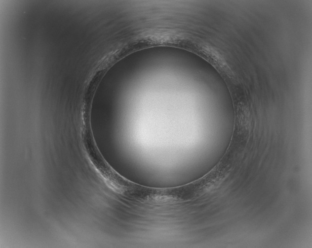 X0000073460590200608111512