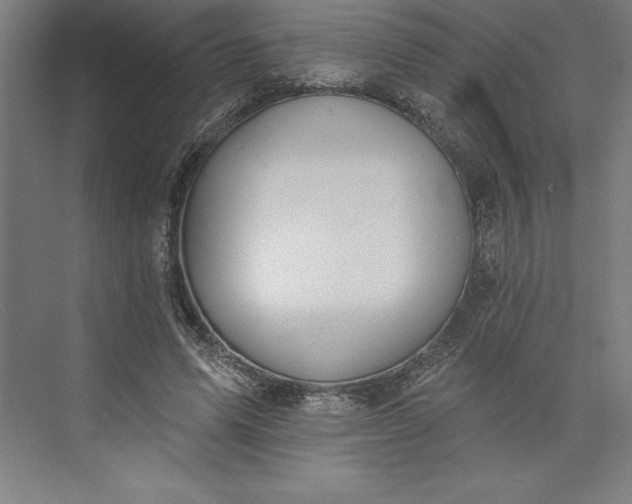 X0000073460591200608111512