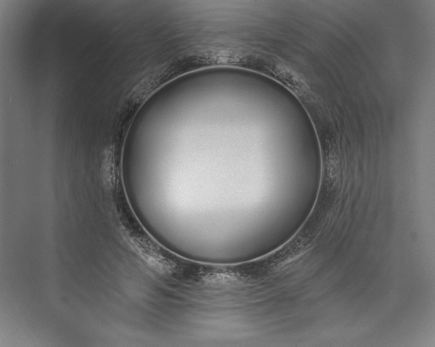 X0000073460594200608111512