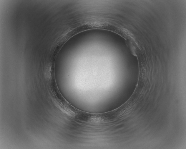 X0000073460596200608111512