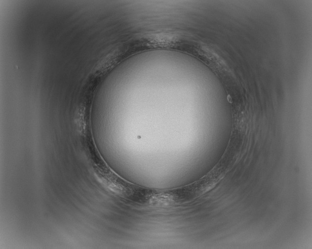 X0000073460599200608111512