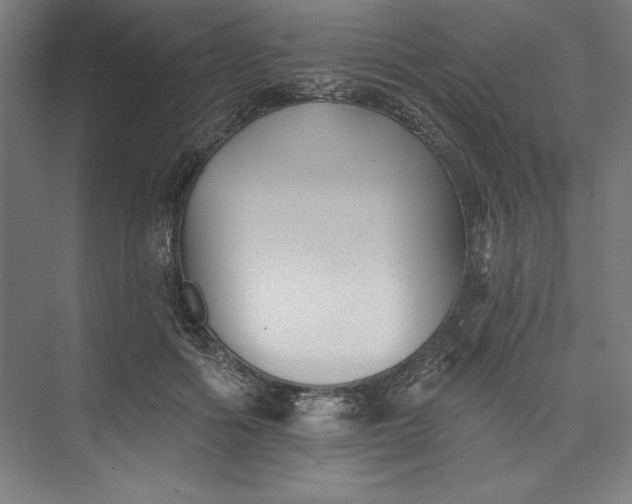 X0000073460602200608111512