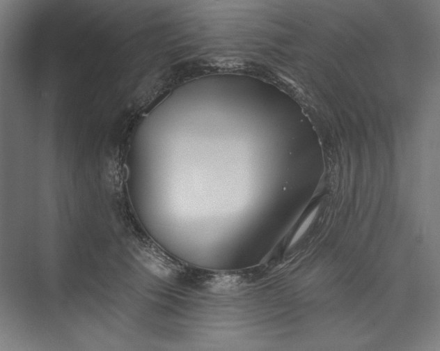 X0000073460609200608111512