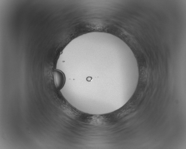 X0000073460612200608111512