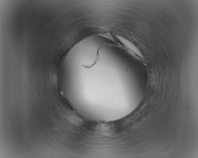 X0000073460613200608111512