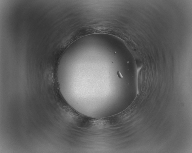 X0000073460615200608111512