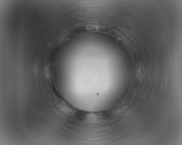 X0000073460616200608111512