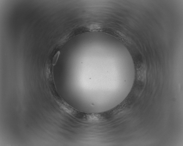 X0000073460618200608111512