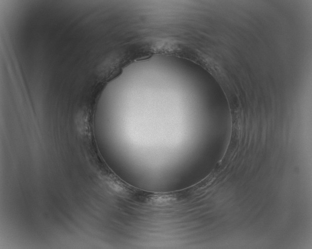 X0000073460619200608111512