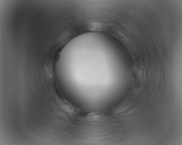 X0000073460620200608111512