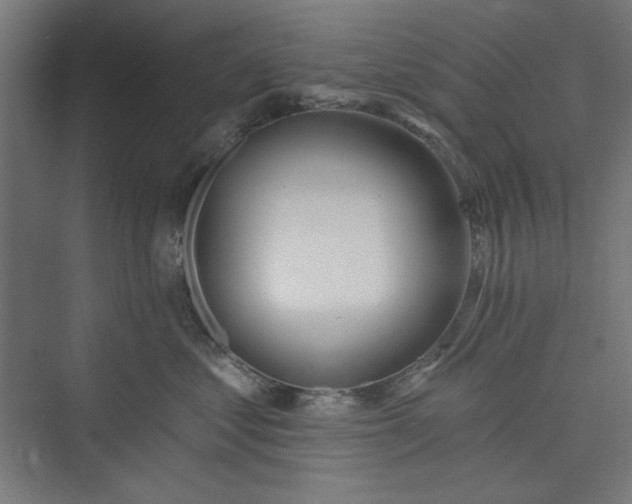 X0000073460621200608111512