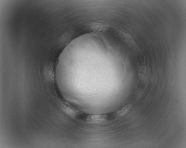 X0000073460622200608111512