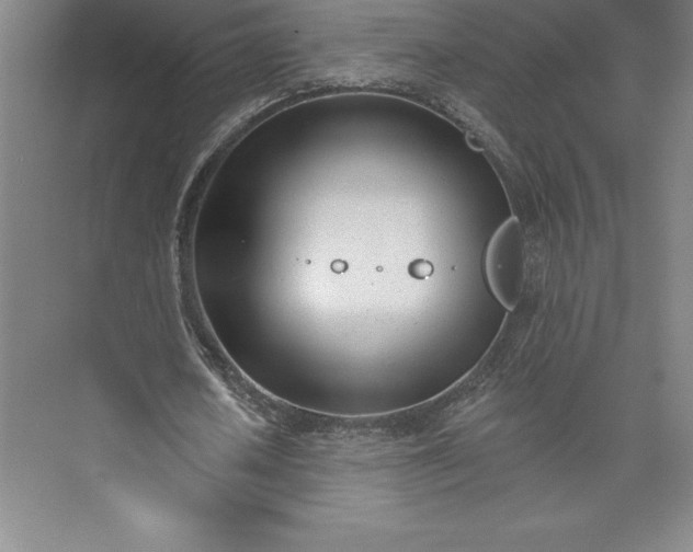 X0000073460626200608111511