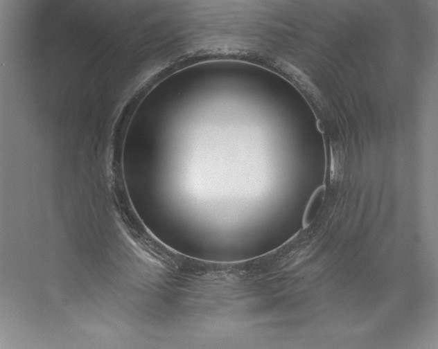 X0000073460627200608111511