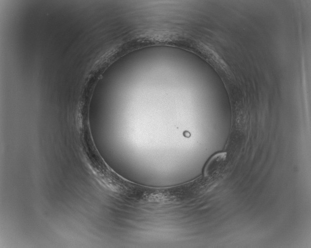 X0000073460635200608111511