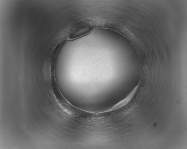 X0000073460638200608111511