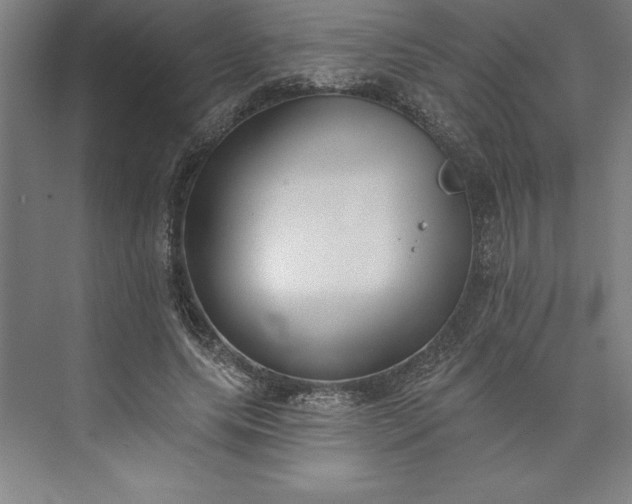 X0000073460639200608111511